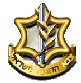 Click for Israel Defense Forces (IDF) web site